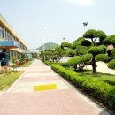 남사초등학교 이미지