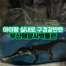 아이랑 실내로 구경갈만한 부산해양사박물관