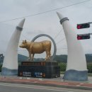 횡성 별빛마을 캠핑장 이미지