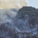 울주(함양) 이미지