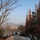 서천해양캠핑장 이미지