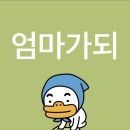주책도 책이다(위시 팬미팅 후기)