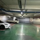 웨이브타운(선셋호텔) | 해운대 부산애견호텔 선셋호텔, 가족과 함께 머물기 좋은 해운대 숙소 후기