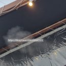 번개목장 | 1박 2일 태안 오션뷰 글램핑 후기(센티마르 펜션 글램핑 / 26.04.11~26.04.12)