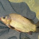 삼성낚시터 이미지