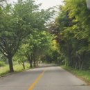 수레의산자연휴양림 이미지