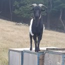 영탁스목공방 이미지