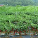 민기농장 이미지