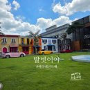 발넷이야 | 대구 애견카페 가창 포토존까지 이쁜 발넷이야