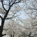 남원 광 한 루 이미지