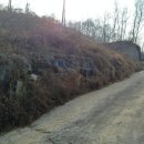 진검모터스 이미지