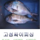 고성싸이피싱