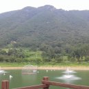 화순노인당 Daum카페