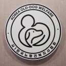 품에 | 구미 애견유치원 &amp; 노령견 케어 끝판왕 “품에” 다녀온 솔직 후기