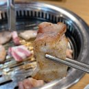 생고기숯불구이촌