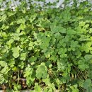 증산농장2 이미지