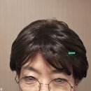 삼익패션타운 | 중년여성 단발 통가발 끌레오라미