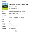 양주 1000평짜리 강아지 대관 운동장 나이스피크닉 모르면 손해