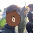 영인 낚시터 | 영인지 배스 워킹, 간단 후기!