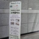 세신샵 스파플러스 | 일산 마두 1인 세신샵 스파플러스 대만족 후기