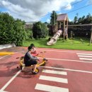 제주조우아 조수 이미지