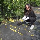 대추공인중개사사무소 이미지