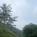 신호보건진료소 이미지