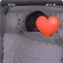 노블클라쎄 산후조리원 이미지