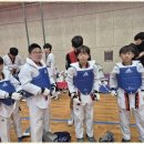 충주태권도 이미지