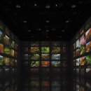 숲을향한시선 이미지