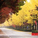 하남유니온타워 1층 이미지