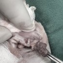 해뜨는 동물병원 이미지