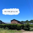 제주 서귀포 중문 숙소 추천 ㅣ 4인 가족 여행 내돈내산 에어비엔비 후기