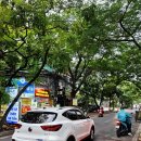 하계약국 이미지