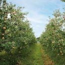 재기농장 이미지