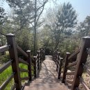 정남진테마숲 이미지