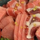 가배참치
