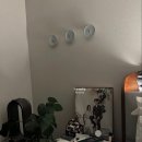 하오개로351번길 | [임신 37주 일상] 태아 배 크기 성장 변화, 명가떡방 방문, 마이페이보릿네이버·판교 립헤어 다녀온 날