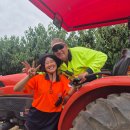 남기농장 이미지