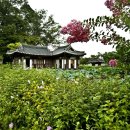 덕이목장 이미지