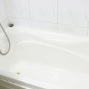 바이럭스 이미지