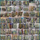 실로암사랑요양병원 이미지