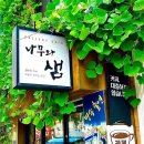 나무샘