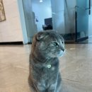 찐무인호텔 이미지