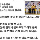 강서비룡태권도 이미지