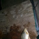 구봉낚시터 이미지