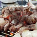 제주 한라돈