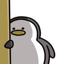 더마레 풀빌라 이미지