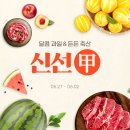 천도축산물 뉴스1