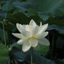 머리풍경 이미지